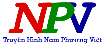 NPV1.7